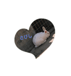 うーさぎーーー（個別スタンプ：1）