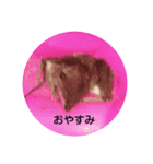 うーさぎーーー（個別スタンプ：6）