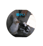 うーさぎーーー（個別スタンプ：7）