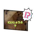 モフィの毎日（個別スタンプ：6）