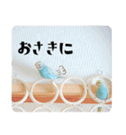 セキセイインコのペロとメロ（個別スタンプ：12）