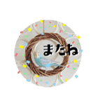 セキセイインコのペロとメロ（個別スタンプ：16）