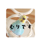 セキセイインコのペロとメロ（個別スタンプ：22）