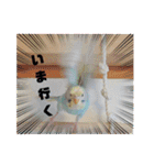セキセイインコのペロとメロ（個別スタンプ：31）