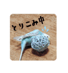 セキセイインコのペロとメロ（個別スタンプ：34）
