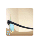 セキセイインコのペロとメロ（個別スタンプ：37）