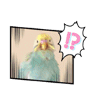 セキセイインコのペロとメロ（個別スタンプ：38）