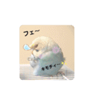 セキセイインコのペロとメロ（個別スタンプ：40）