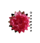 お花を添えて（個別スタンプ：2）