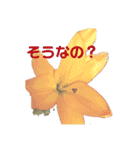 お花を添えて（個別スタンプ：13）
