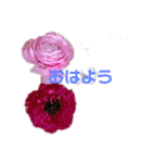 お花を添えて（個別スタンプ：14）