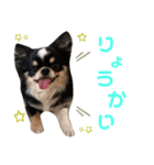 れおんのあいさつ（個別スタンプ：2）