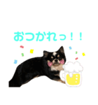 れおんのあいさつ（個別スタンプ：4）