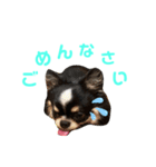 れおんのあいさつ（個別スタンプ：5）