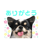 れおんのあいさつ（個別スタンプ：6）