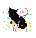 宮古島へりちゃらーず（個別スタンプ：6）