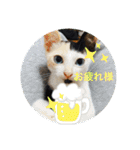 宮古島へりちゃらーず（個別スタンプ：7）