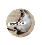 宮古島へりちゃらーず（個別スタンプ：21）