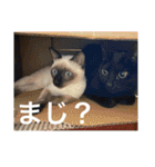 宮古島へりちゃらーず（個別スタンプ：23）