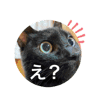 宮古島へりちゃらーず（個別スタンプ：27）