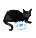 宮古島へりちゃらーず（個別スタンプ：30）