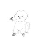 KIRISHIMA kawaii dog（個別スタンプ：4）