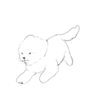 KIRISHIMA kawaii dog（個別スタンプ：8）