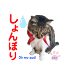 赤いりぼんの可愛い仲間達③（個別スタンプ：4）