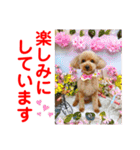 赤いりぼんの可愛い仲間達③（個別スタンプ：10）