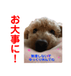 赤いりぼんの可愛い仲間達③（個別スタンプ：11）