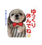 赤いりぼんの可愛い仲間達③（個別スタンプ：13）