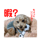 赤いりぼんの可愛い仲間達③（個別スタンプ：18）