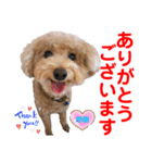 赤いりぼんの可愛い仲間達③（個別スタンプ：19）