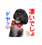赤いりぼんの可愛い仲間達③（個別スタンプ：23）