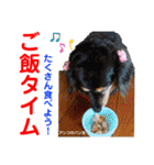 赤いりぼんの可愛い仲間達③（個別スタンプ：25）