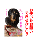 赤いりぼんの可愛い仲間達③（個別スタンプ：26）