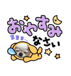 ぷりんちゃんですよ。（個別スタンプ：8）