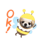 ぷりんちゃんですよ。（個別スタンプ：9）