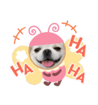 ぷりんちゃんですよ。（個別スタンプ：11）