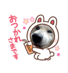 ドン=マルレオーネ（個別スタンプ：11）