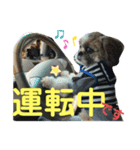 忙しモヒカン蓮くん（個別スタンプ：4）