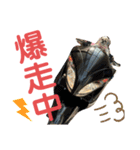 忙しモヒカン蓮くん（個別スタンプ：5）