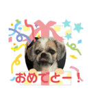 忙しモヒカン蓮くん（個別スタンプ：8）
