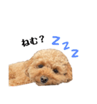 おばぁわんズ2♫（個別スタンプ：10）