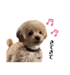 おばぁわんズ2♫（個別スタンプ：34）