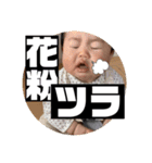 いと辛辣ver.2 監修おば（個別スタンプ：5）