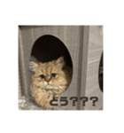 むんstamp2（個別スタンプ：2）