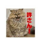 むんstamp2（個別スタンプ：4）