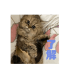 むんstamp2（個別スタンプ：5）