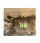むんstamp2（個別スタンプ：6）
